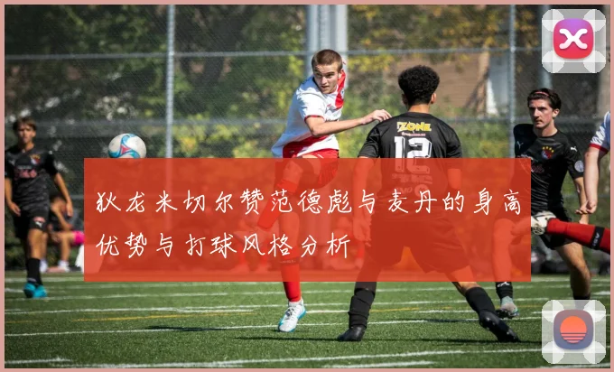 狄龙米切尔赞范德彪与麦丹的身高优势与打球风格分析