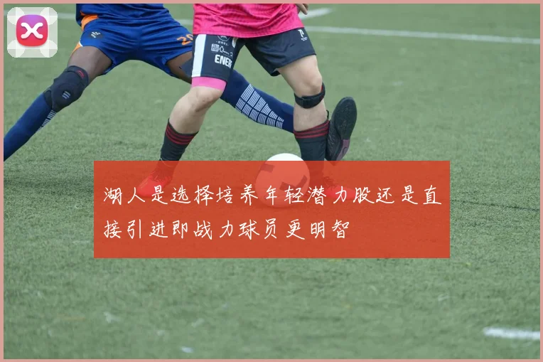 湖人是选择培养年轻潜力股还是直接引进即战力球员更明智